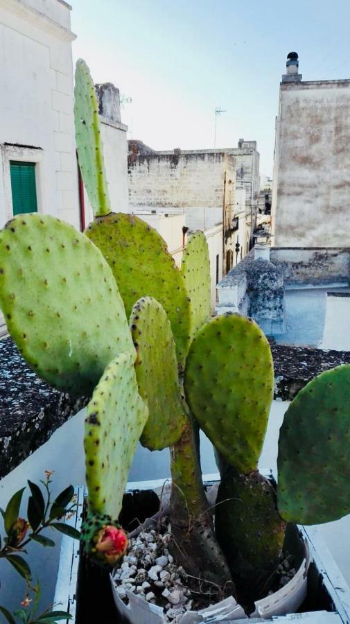 Il Borgo Bed & Breakfast Poggiardo Bagian luar foto